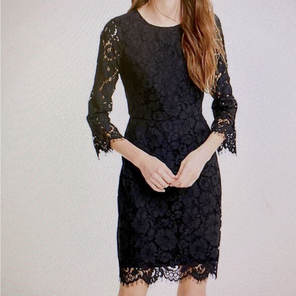 Ann Taylor Lace Fluted Sleeve Flare Dress